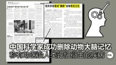 中國科學家刪老鼠記憶遭疑恐再現「基改嬰兒事件」(圖)