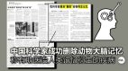 中国科学家删老鼠记忆遭疑恐再现“基改婴儿事件”(图)