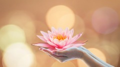 世间十恩恩恩都要铭记(图)