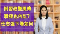 习近平会放过任志强么倒习政变风传；官场甩锅成风；战狼也内讧