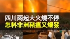 大陸災難頻發四川兩起重大山火燒不停非洲豬瘟又爆發