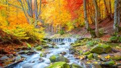 深山修道高人的神奇经历(组图)