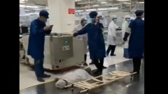 惠州TCL员工生产线突然倒地(图)