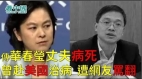 傳華春瑩丈夫病死曾赴美國治病遭網友罵翻