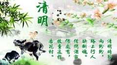 清明時節雨紛紛出嫁女兒欲斷魂(圖)