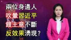 【清源漫语】两位身边人吹晕习近平馊主意不断反效果涌现