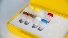 纽约州订购10万个抗体测试盒北京扣押不放行(图)