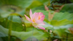 永遠不要做的10件事(圖)