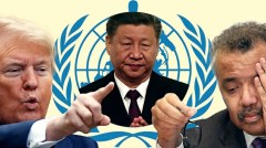 美中脱钩是“长痛还是短痛”的抉择(图)