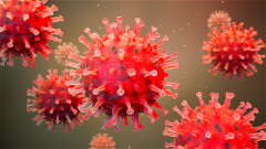 如何预防疫情听听专家意见(组图)