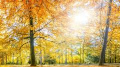 奇妙的瀕死經驗令他堅信神的存在(組圖)