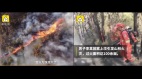 上坟抽烟让百亩山林成焦土云南大火10小时才扑灭(图)