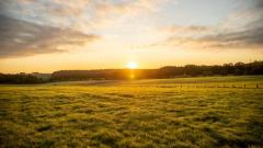 濒死经验者的神奇复活故事(组图)