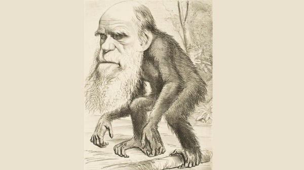 1870年代諷刺漫畫，表達了基督徒對「人類與猿類具有共同祖先」這個觀念的反對。