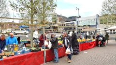 预测指荷兰疫情死亡人数6月底为零(图)