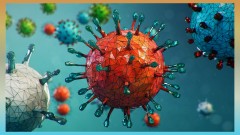 5千年前印度竟有类似病毒古老预防方法曝光(组图)