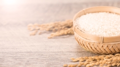 俗语“斗米养恩担米养仇”啥意思(图)