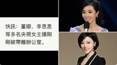 央視董卿和李思思涉孫力軍案被帶走有回應了(圖)