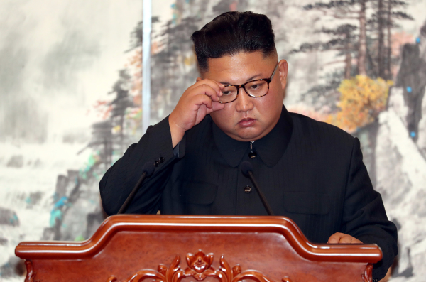 2018年9月19日，金正恩与韩国总统文在寅在平壤百花园国宾馆举行联合新闻发布会。