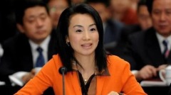 孫力軍與美女富豪緋聞細節曝光(圖)