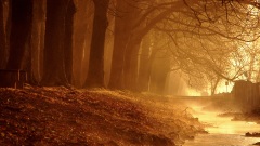 本以为是小事一桩不料阴间已记录在案(图)