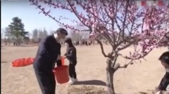 七常委擺拍「植樹」剛「種」的松樹參天花樹鮮花怒放(圖)