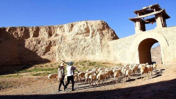 永泰城門外是一片荒漠戈壁灘，放羊是村民們唯一的正業了。