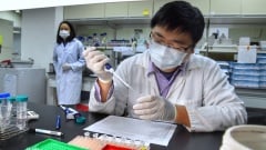 台防疫首次使用一次看懂抗原快筛原理(图)