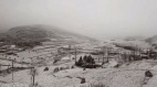 天不降無妄之災北京為何「六月飛雪」(組圖)