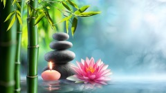人生三宝：知耻‧敬畏‧自律(图)