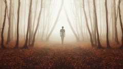 惊见影子变化厉鬼形原来是他有了这念头(图)