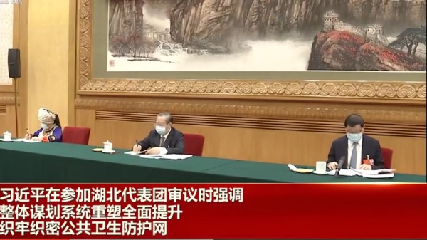 习近平参加湖北代表团审议，王晓东（中）就座主席台。