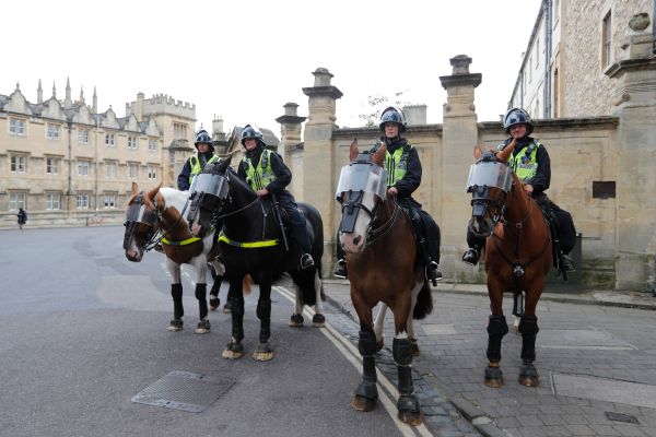 英国 示威 警察 骑警