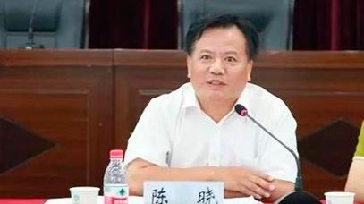 金华市委原常委、副市长陈晓被双开。（图片来源：网络）