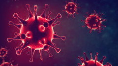 大瘟疫来了世界都改观了（中）(图)