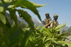龙象博弈高人为印度外交官指路(图)