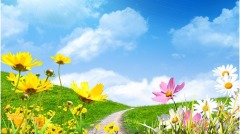 生命不在年龄贵在心年轻(图)