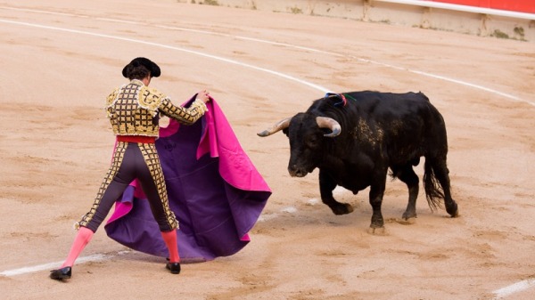 西班牙鬥牛。