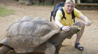 “千年的王八万年龟”下半句展露人性(组图)