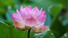 “天知道”的医德(图)