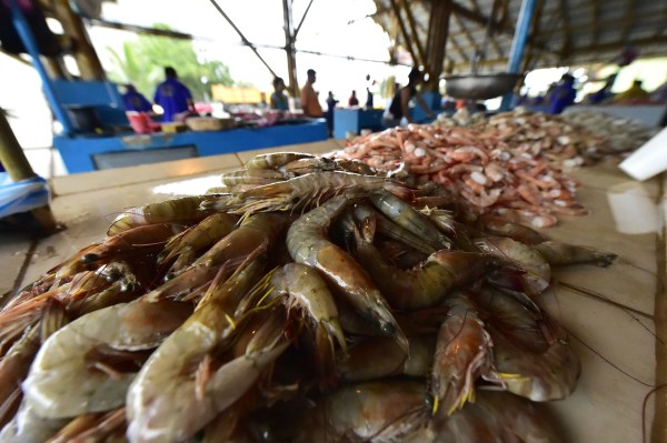 2014年8月29日，厄瓜多曼塔的一個市場上出售的蝦。