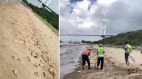 东莞沙滩惊见上万支猪脚及内脏原因不明(视频)
