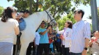 是否延續韓國瑜的賽馬場陳其邁回應了(圖)