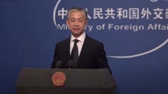 耿爽接班人亮相網友：有些老(圖)