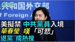 美國考慮禁中共黨員入境分析指區分中國中共(圖)
