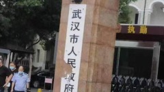 传武汉市政府门牌被女子一斧头劈烂(组图)