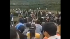 貴州山中怪聲是鳥叫唐代《開元占經》解迷(圖)
