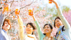为何说“灯红酒绿”酒怎么是绿的呢(组图)
