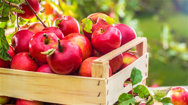 美国有一项研究发现，闻苹果香味可以有效缓解偏头痛。