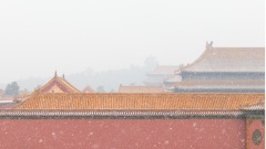 庚子年北京竟飘六月雪(图)